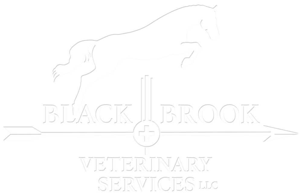 logo for black brook veterinary services in white