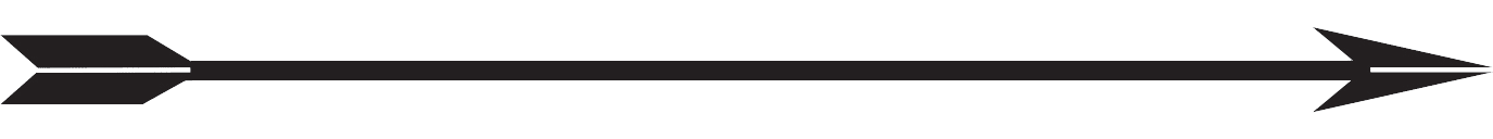 24/7 Emergency Equine Care in Massachusetts