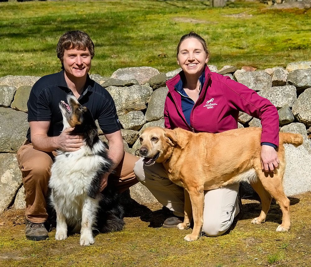 two equine vets with their dogs outside