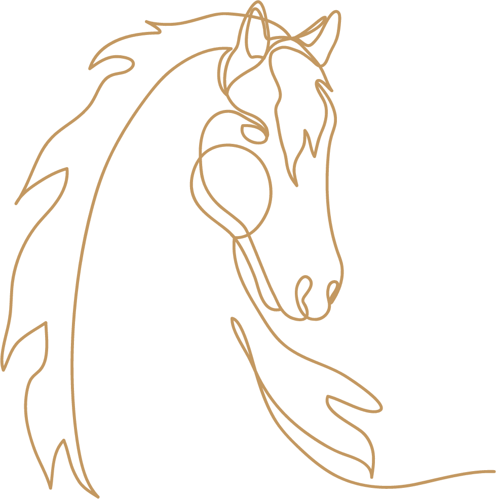 line art of a horses face and shoulders