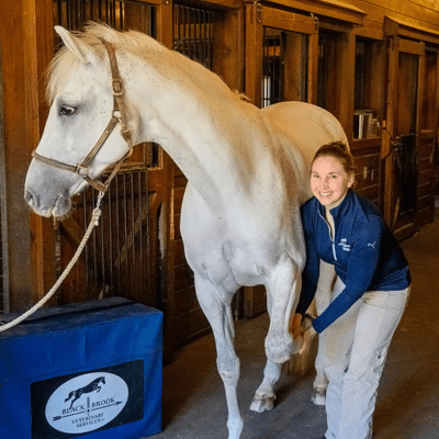 Dr. Cook holding white horses leg up and smiling