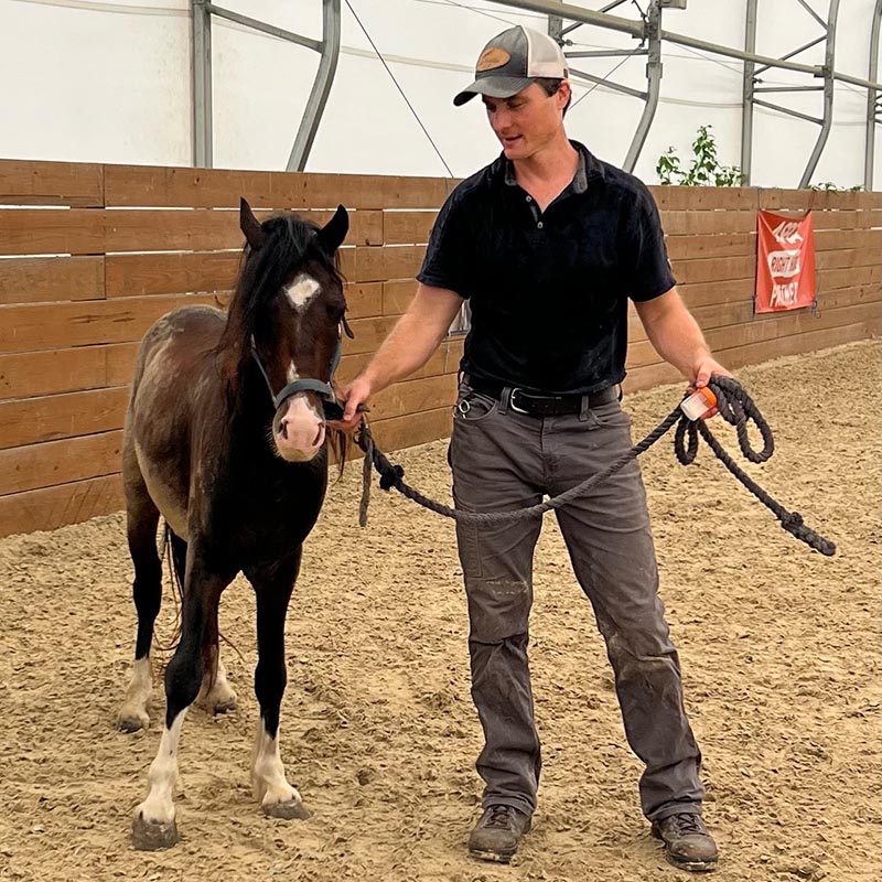 Dr. Derek Cavatorta leads a small horse on a leash