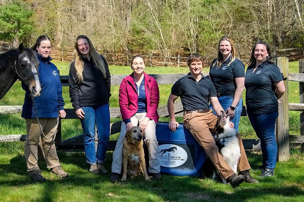 Group Photo our equine veterinary support staff posing for a photo with a horse and fence