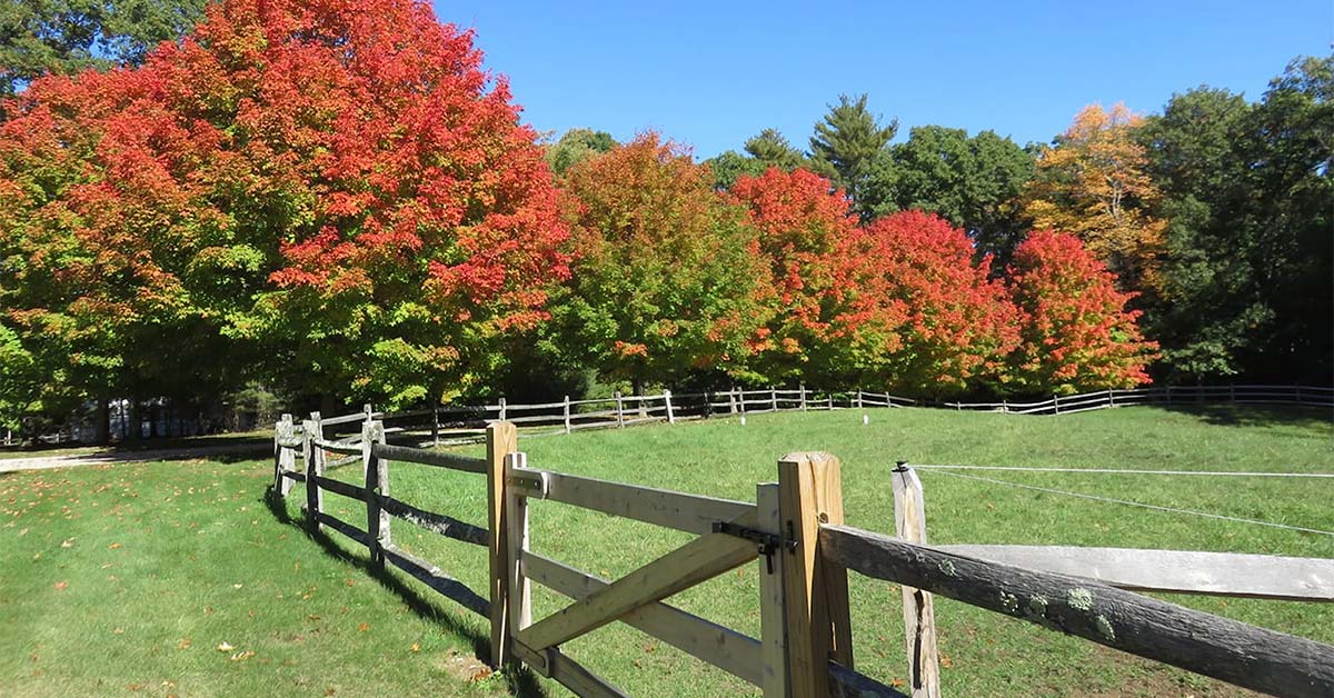 beautiful fall scene