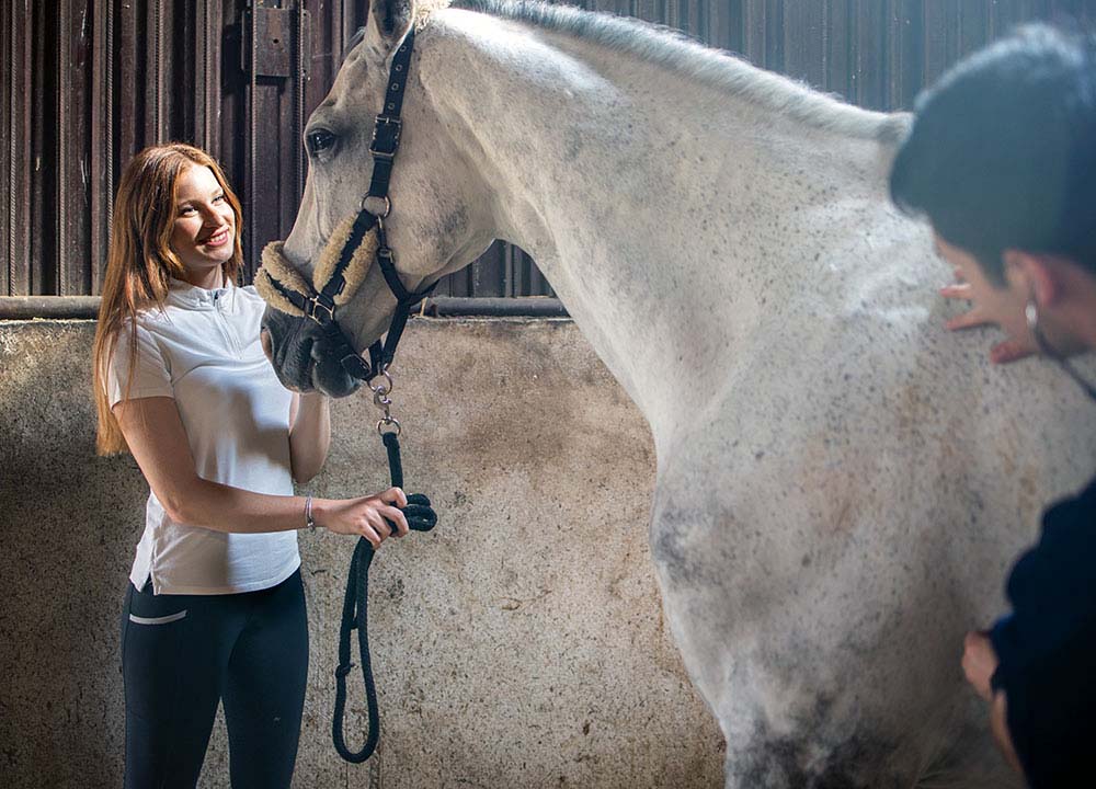 Vet Checking Horse's Health Before Riding. Vet Checking White Horse's Health