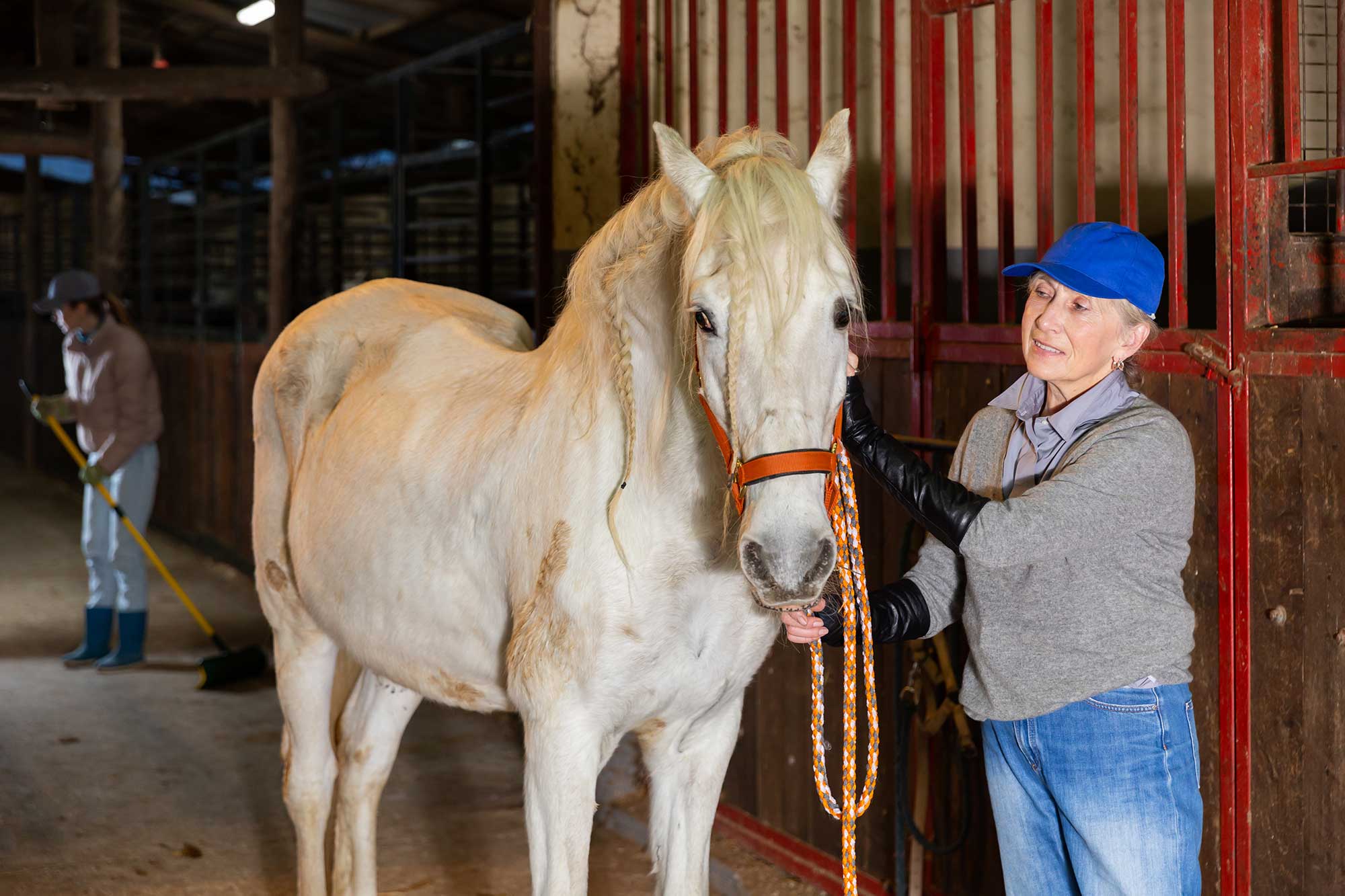 horse owner pets her white horse