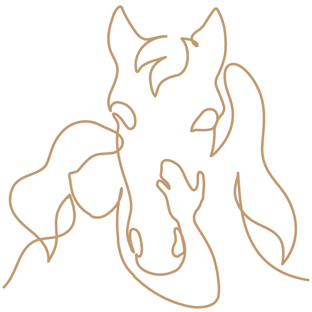 line art of a woman with her arm around a horse