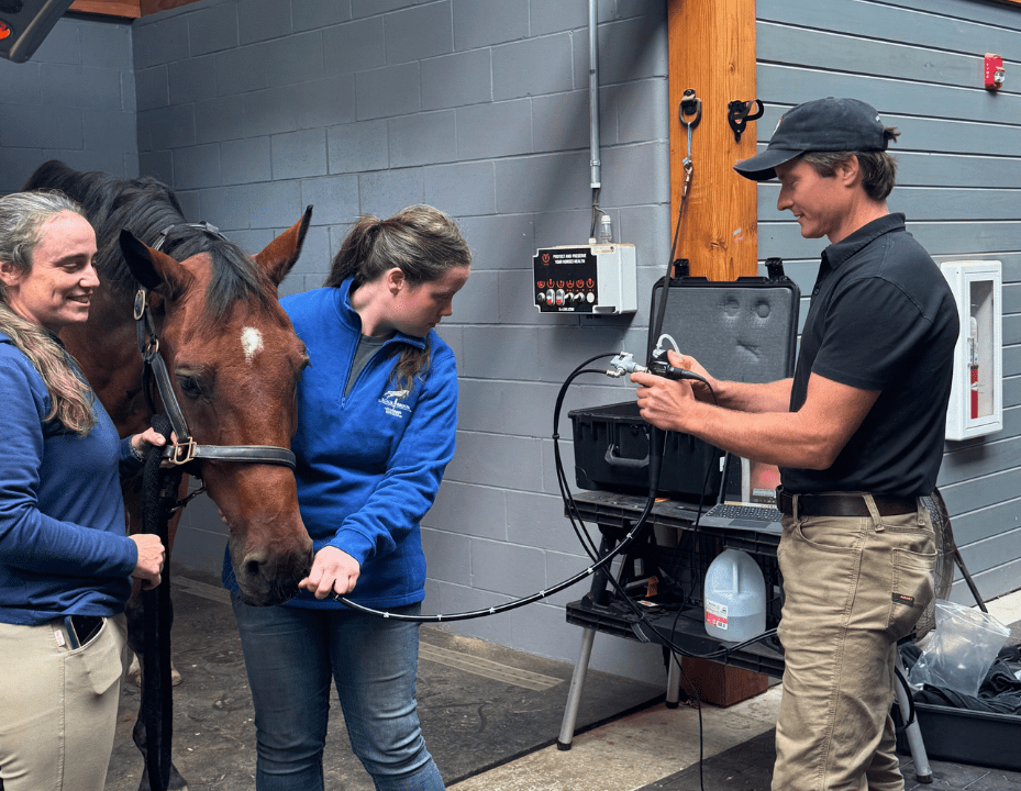 Gastroscopy Procedure Dr. Derek and two women with horse doing procedure